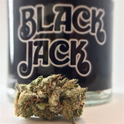 black jack leafly cnpk